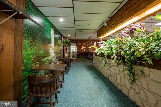 145 CHAMBERLAINE AVE, Pottsville, PA 17901