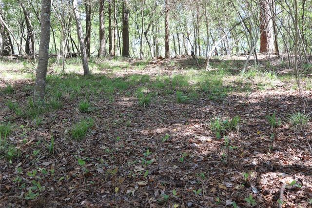 TBD Loper Lake, Livingston, TX 77351