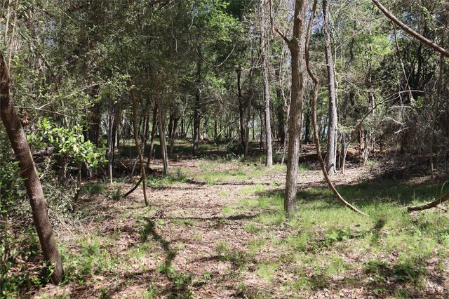 TBD Loper Lake, Livingston, TX 77351