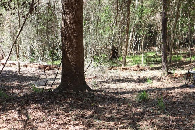 TBD Loper Lake, Livingston, TX 77351