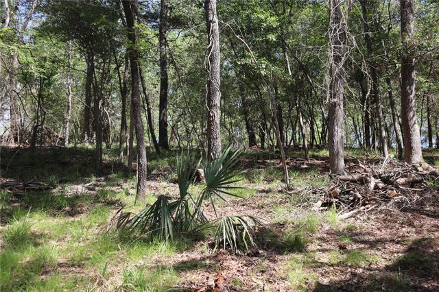 TBD Loper Lake, Livingston, TX 77351