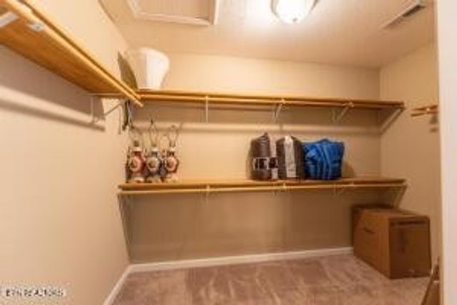 338 Pistole Rd, Sparta, TN 38583