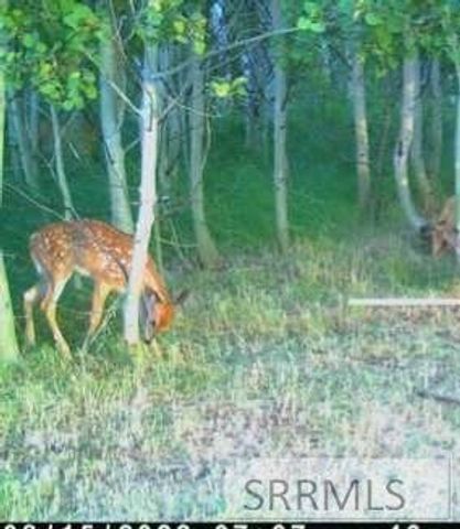 1650 Renegade Fly Drive, Ashton, ID 83429