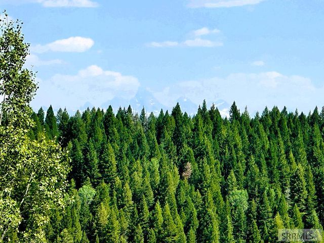 1650 Renegade Fly Drive, Ashton, ID 83429