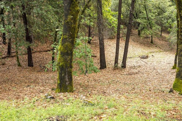 3061 Glee Ln, Placerville, CA 95667