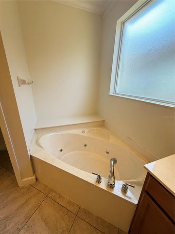 10029 CHARDONNAY DRIVE, Orlando, FL 32832