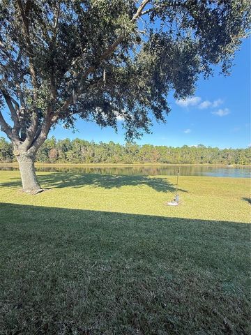 10029 CHARDONNAY DRIVE, Orlando, FL 32832