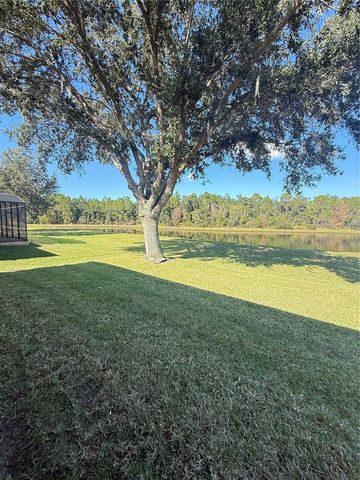 10029 CHARDONNAY DRIVE, Orlando, FL 32832