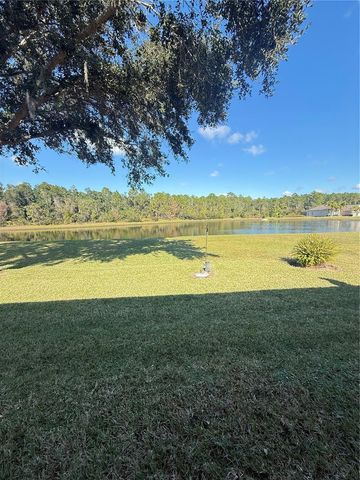 10029 CHARDONNAY DRIVE, Orlando, FL 32832