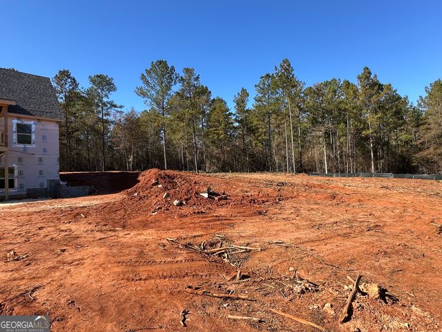 151 Nancy Lane, Forsyth, GA 31029