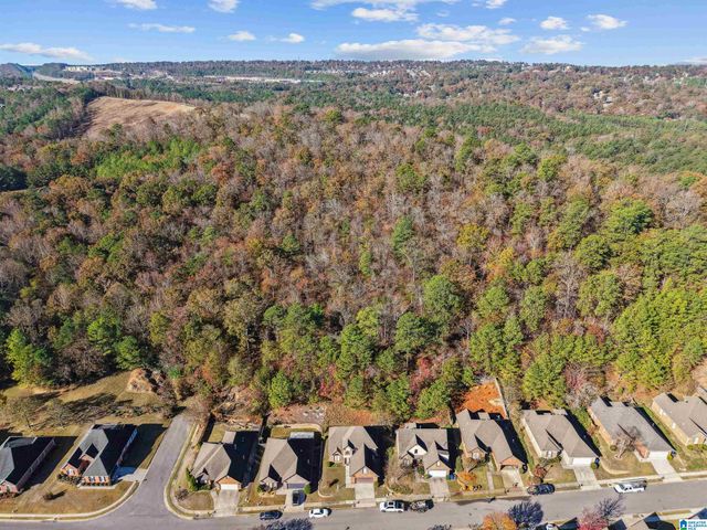 4950 PARADISE LAKE CIRCLE, Hoover, AL 35244