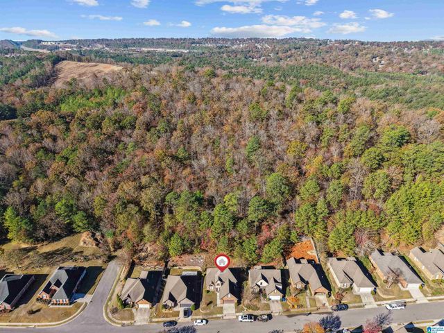 4950 PARADISE LAKE CIRCLE, Hoover, AL 35244