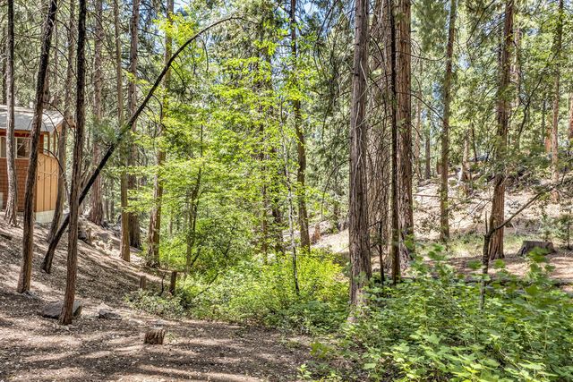 55170 Daryll Road, Idyllwild, CA 92549