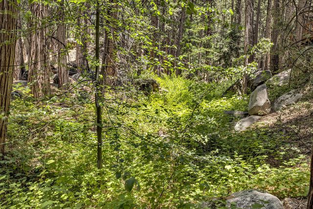 55170 Daryll Road, Idyllwild, CA 92549