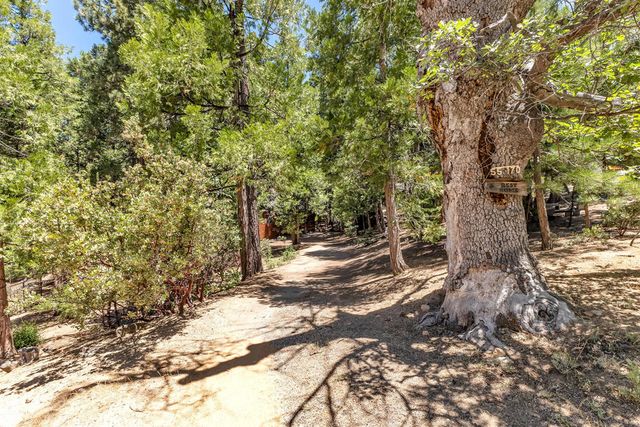55170 Daryll Road, Idyllwild, CA 92549