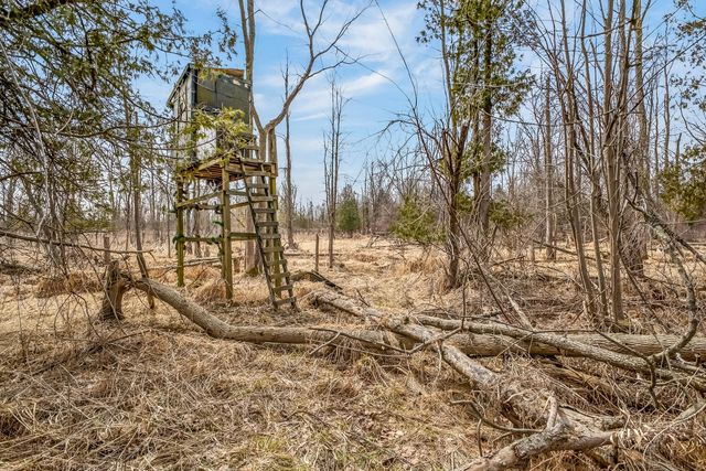 875 E Jackson Road, Crystal Twp, MI 49420