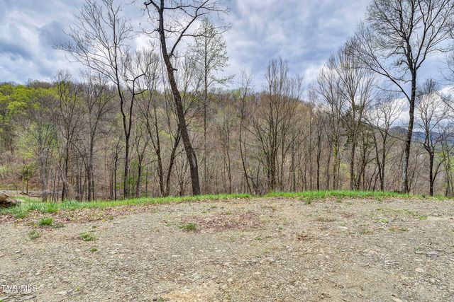 394 & 400 Bishop Hollow Road, Elizabethton, TN 37643