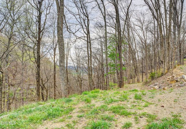 394 & 400 Bishop Hollow Road, Elizabethton, TN 37643