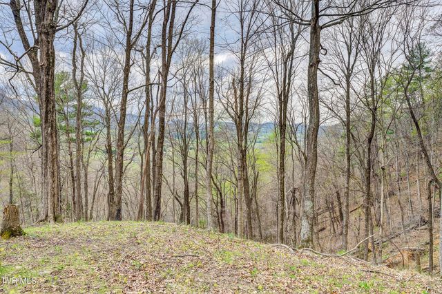 394 & 400 Bishop Hollow Road, Elizabethton, TN 37643