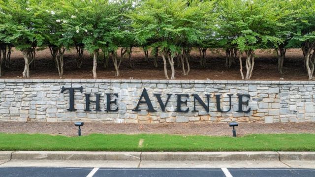 103 Cyrilla Walk, Dallas, GA 30132