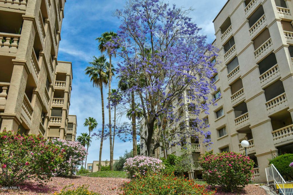 7950 E Camelback Road Unit 203, Scottsdale, AZ 85251