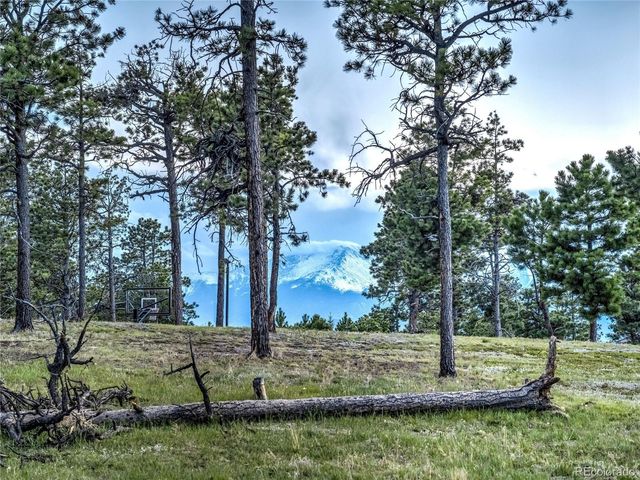 4735 Saxton Hollow Road, Colorado Springs, CO 80908