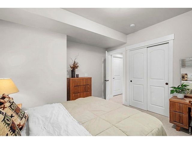 1539 Sandy Ln, Windsor, CO 80550