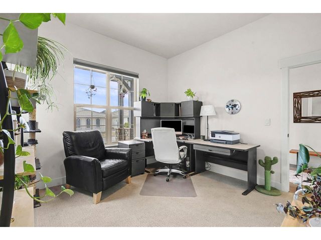 1539 Sandy Ln, Windsor, CO 80550