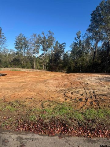 19076 Pinedale Circle, Flint, TX 75762