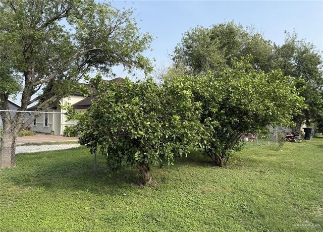 3120 N Pine Street, Donna, TX 78537