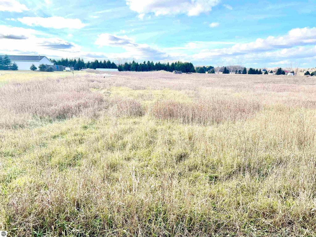 Image 3 of property listing at 0 Sparling Road, Kingsley, MI 49649