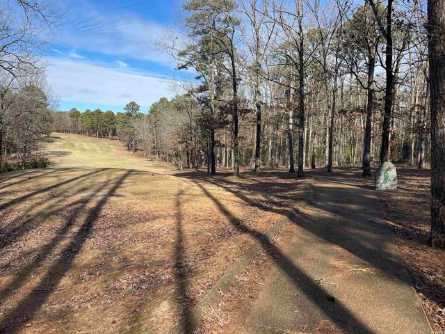 Lot 322 Deer Run, Drasco, AR 72530