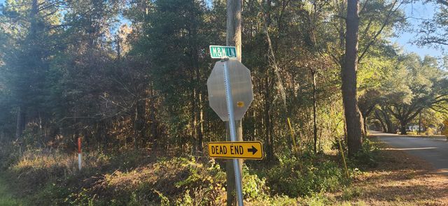 TBD HUTCHINSON FERRY Road, Quincy, FL 32352