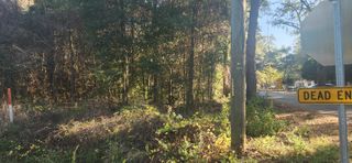 TBD HUTCHINSON FERRY Road, Quincy, FL 32352