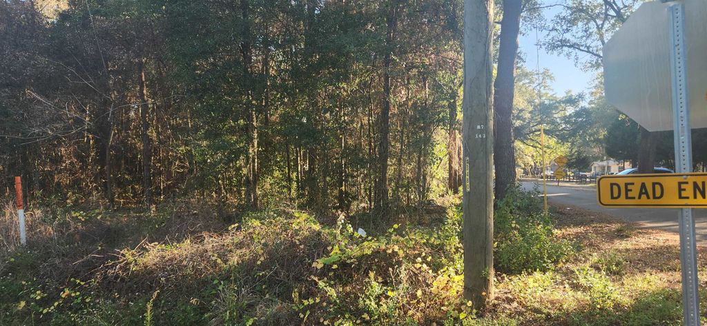 TBD HUTCHINSON FERRY Road, Quincy, FL 32352