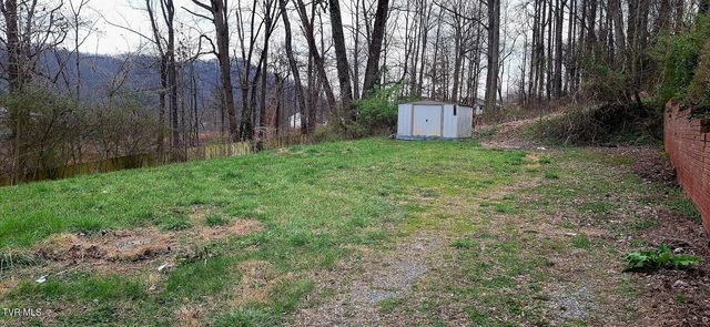 214 Stafford Street, Bristol, TN 37620