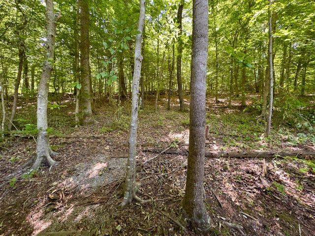 432 N Lake Drive, Burnside, KY 42519