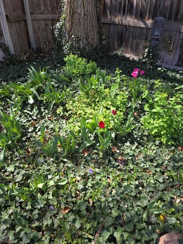 178 MacNeil Place, Pueblo, CO 81001