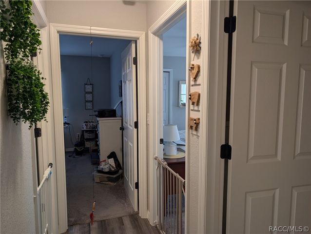 3131 W Randolph Lane, Citrus Springs, FL 34433