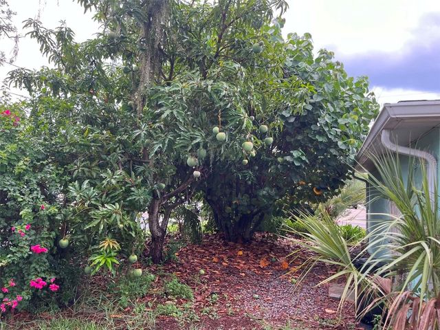 6445 RIVER ROAD, New Port Richey, FL 34652