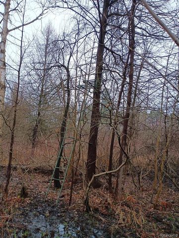 4250 Phillips Road, Metamora, MI 48455