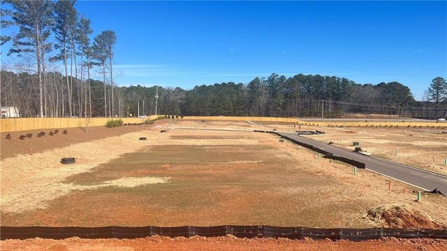 233 Legacy Downs Drive, Canton, GA 30118