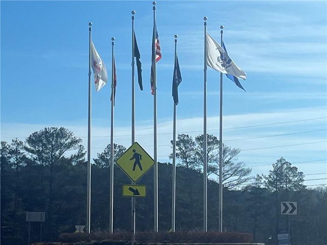 233 Legacy Downs Drive, Canton, GA 30118