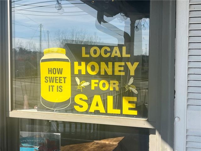 233 Legacy Downs Drive, Canton, GA 30118