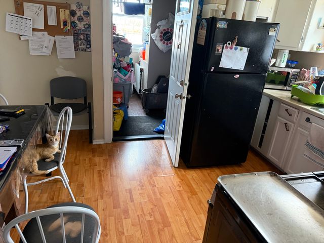 1601 S 48th Court, Cicero, IL 60804