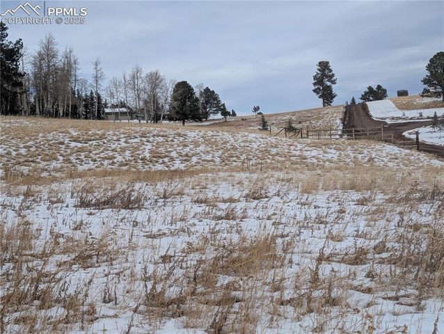 307 Pinaceae Heights, Divide, CO 80814
