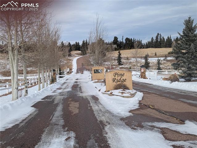 307 Pinaceae Heights, Divide, CO 80814