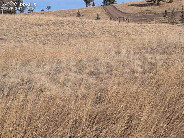 307 Pinaceae Heights, Divide, CO 80814