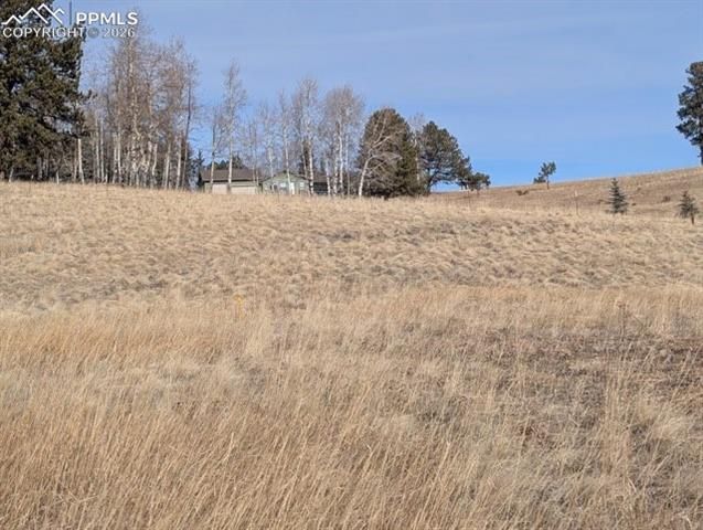 307 Pinaceae Heights, Divide, CO 80814