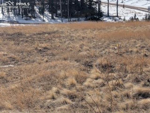 307 Pinaceae Heights, Divide, CO 80814